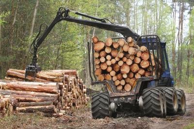 harvester transports logs from a forest.(abadonian/iStock/Getty 