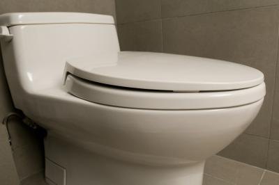 The Best Toilet Flushing Power