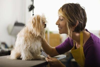 How to Run a Pet Grooming Business From Home