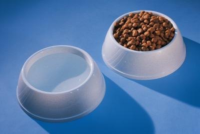 Homemade Hypoallergenic Dog Food Homemade Hypoallergenic Dog Food