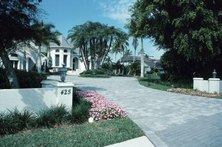 Add color to your driveway through simple landscaping techniques.