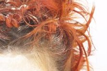 Dryness and split ends can accompany brassiness.
