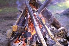 Have plenty of dry wood on hand for your bonfire.