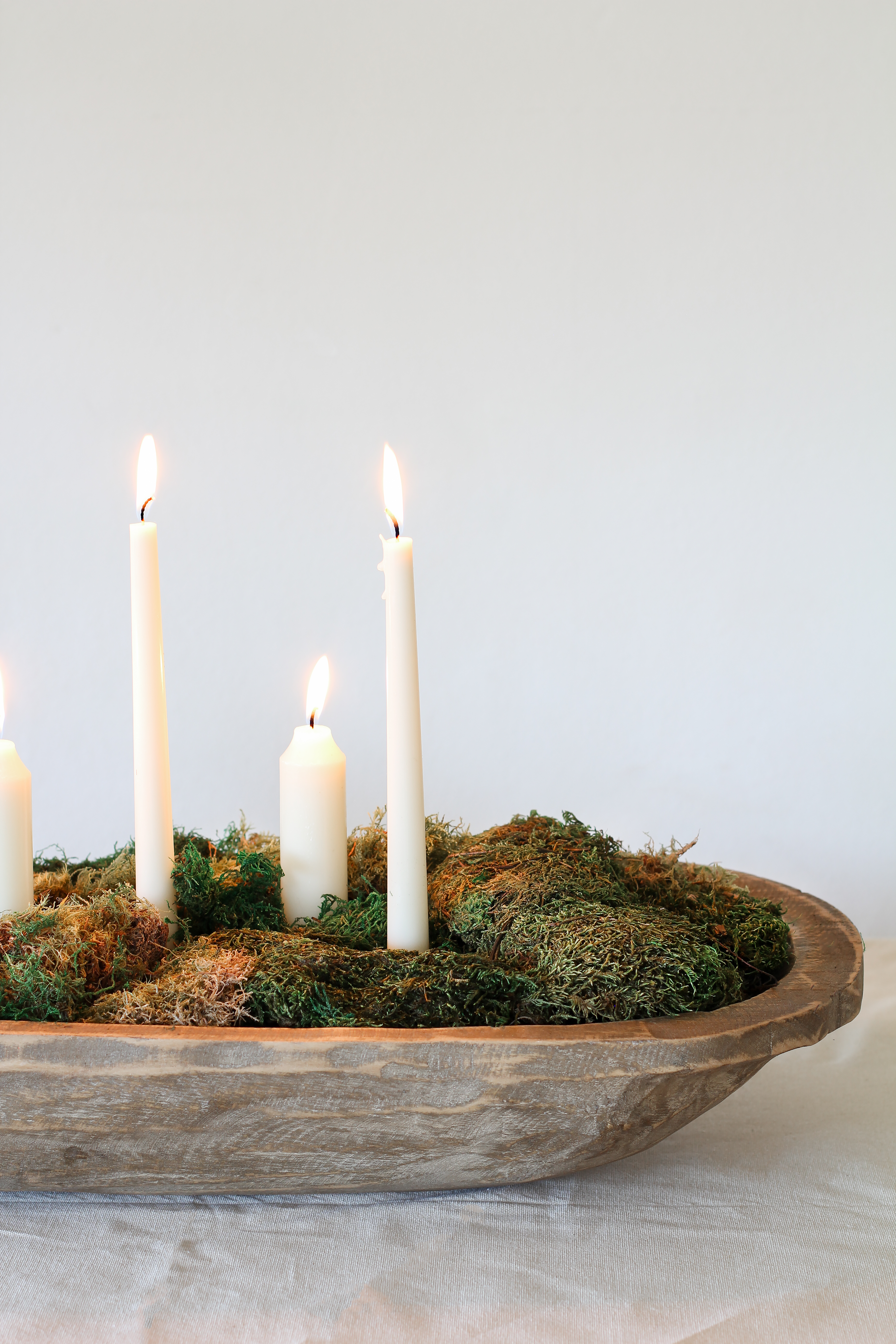 Moss Bowl 101: DIY Centerpiece and Decor Guide