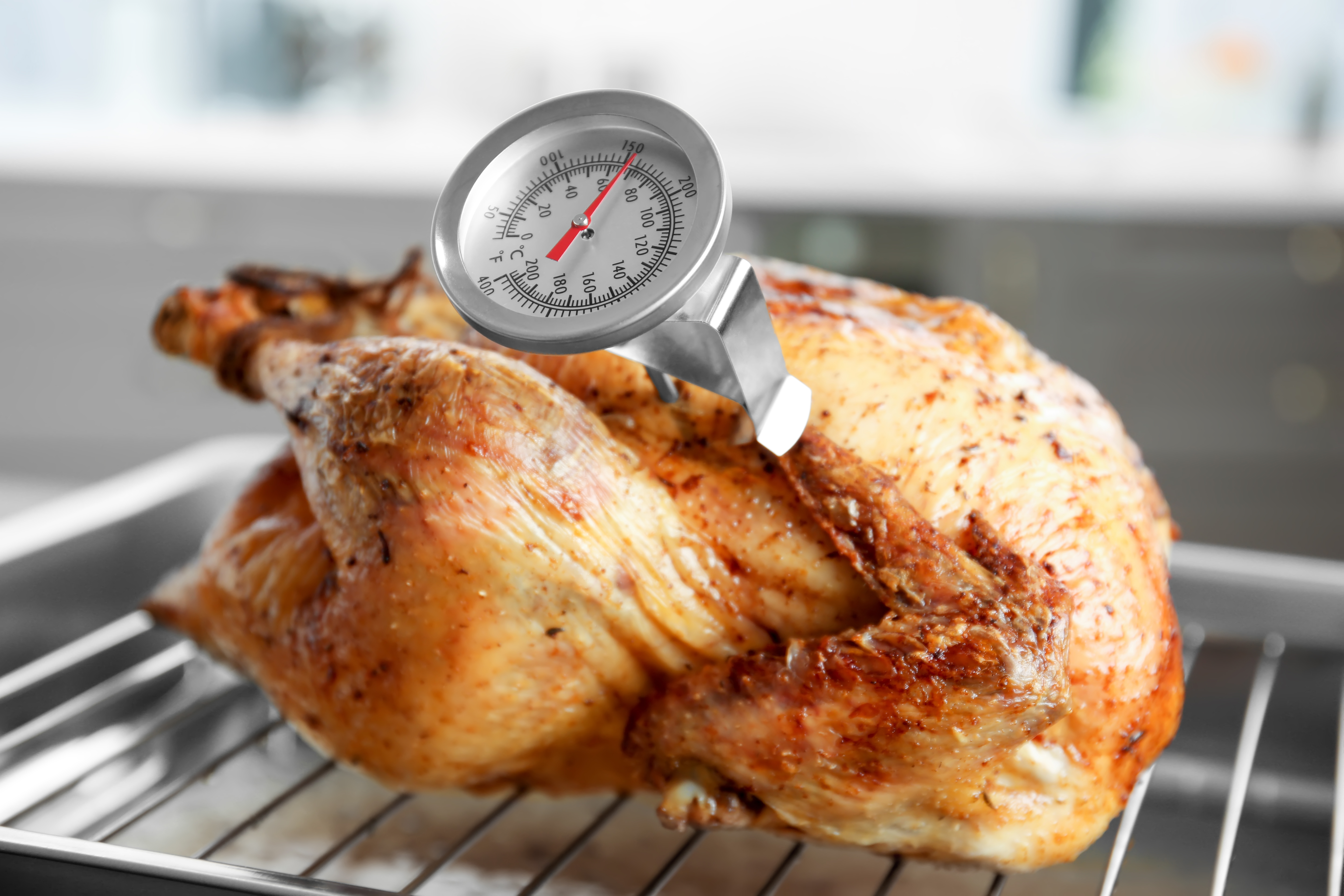 Grilled Chicken Thermometer Stock Photo - Download Image Now - Thermometer,  Food, Meat - iStock