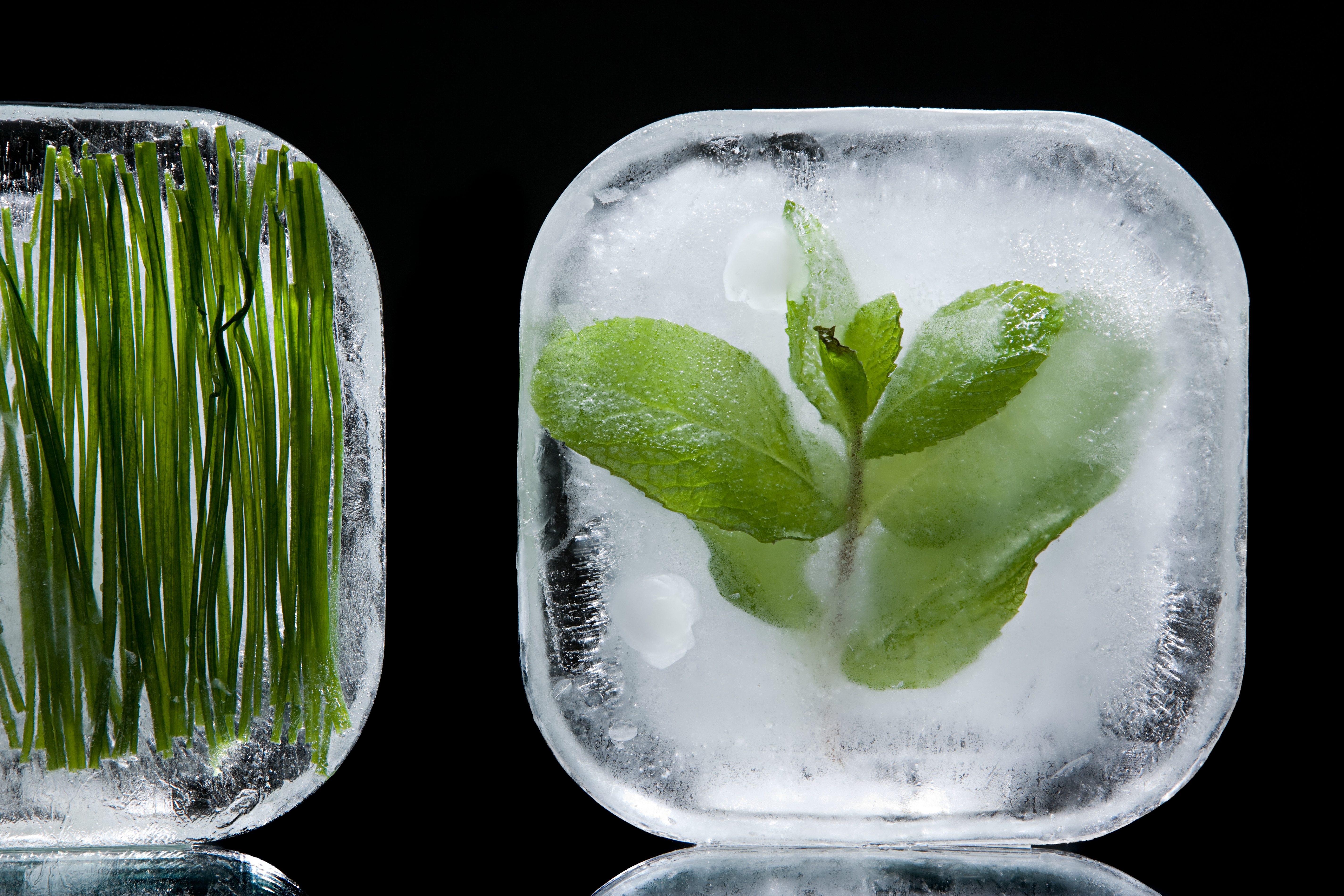 10+ Genius Ways to Use an Ice Cube Tray - Kalejunkie