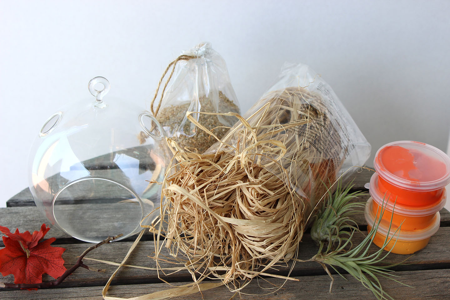 DIY: Autumn Glass Terrarium - Straw Flowers and Moss