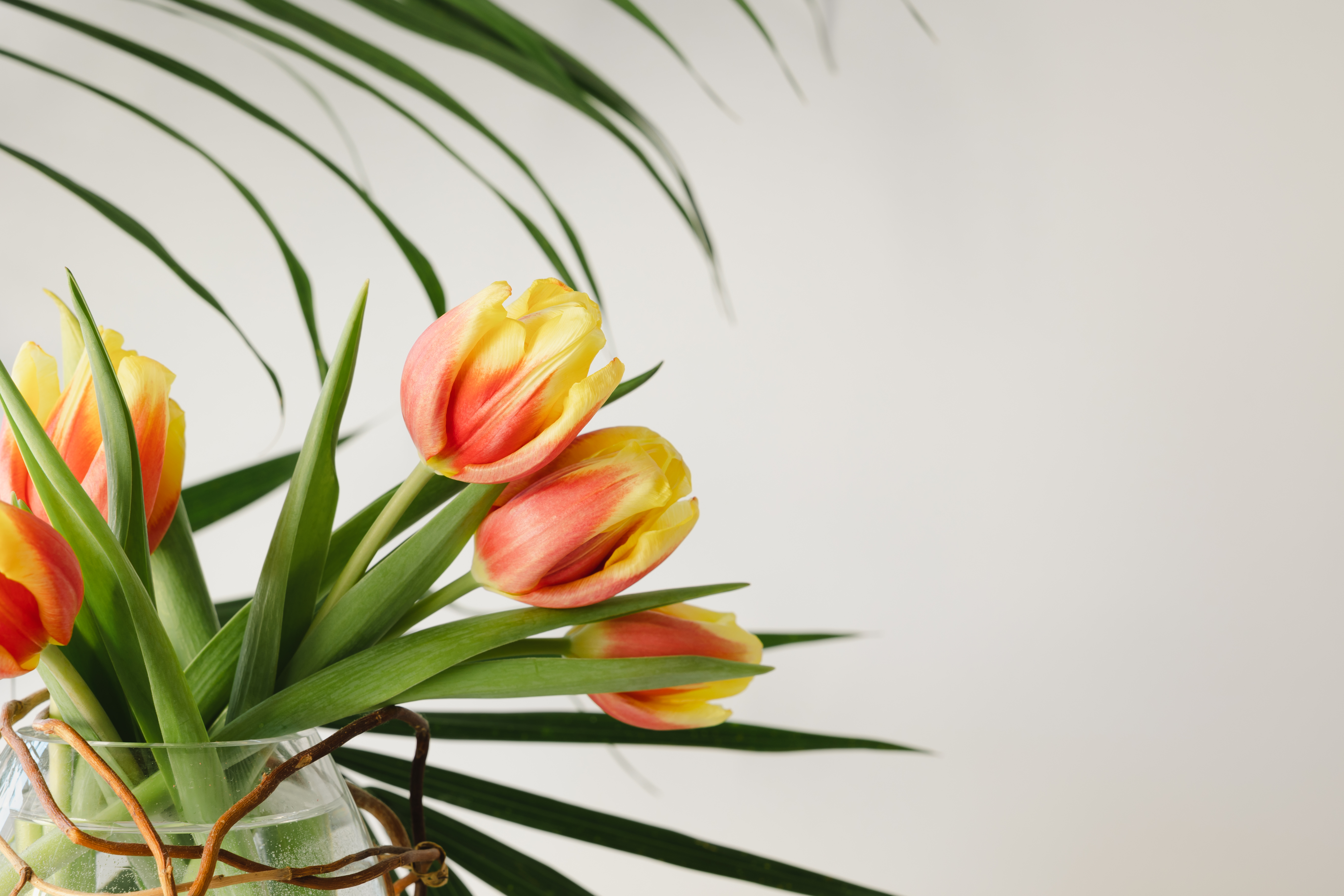 How to cut flower stems  Did you know? Cutting your stems correctly can  really help extend the vase-life of your flowers! Cut a clean, sharp angle  so they can draw up