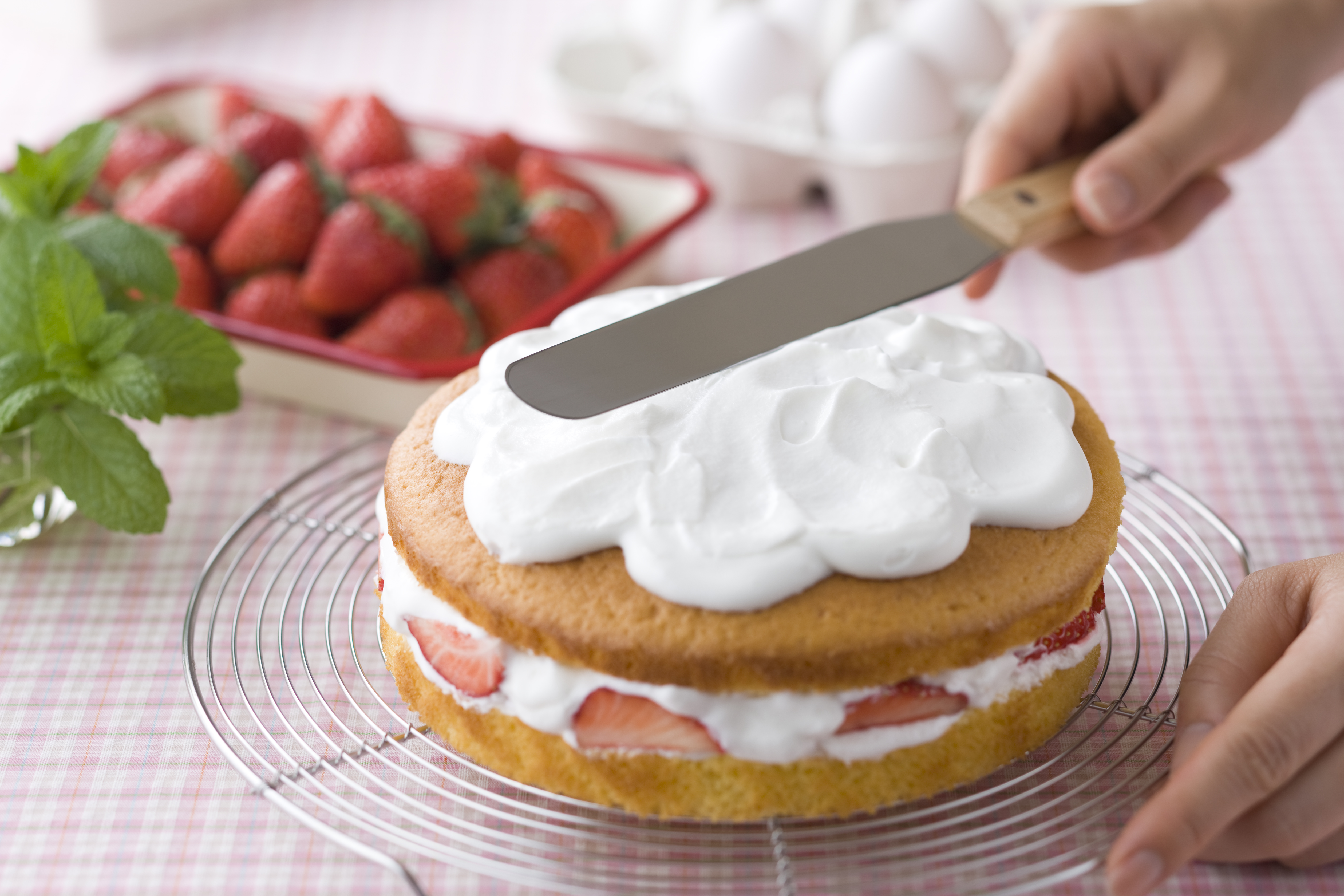 Cake Decorating Angled Icing Spatula, Stainless Steel 7 Offset Polished  Blade Knife, Wood Handle