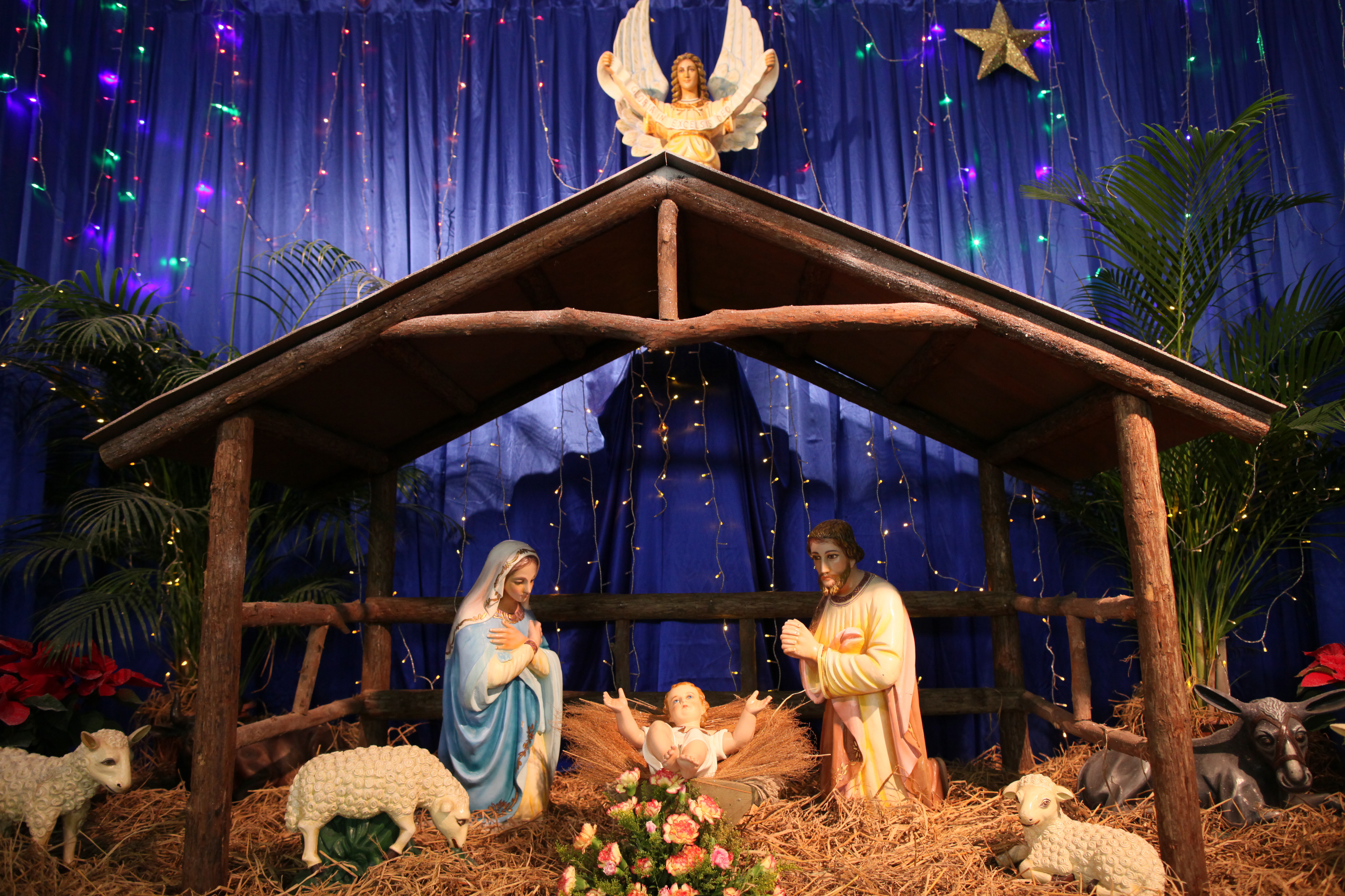 christmas nativity scenes