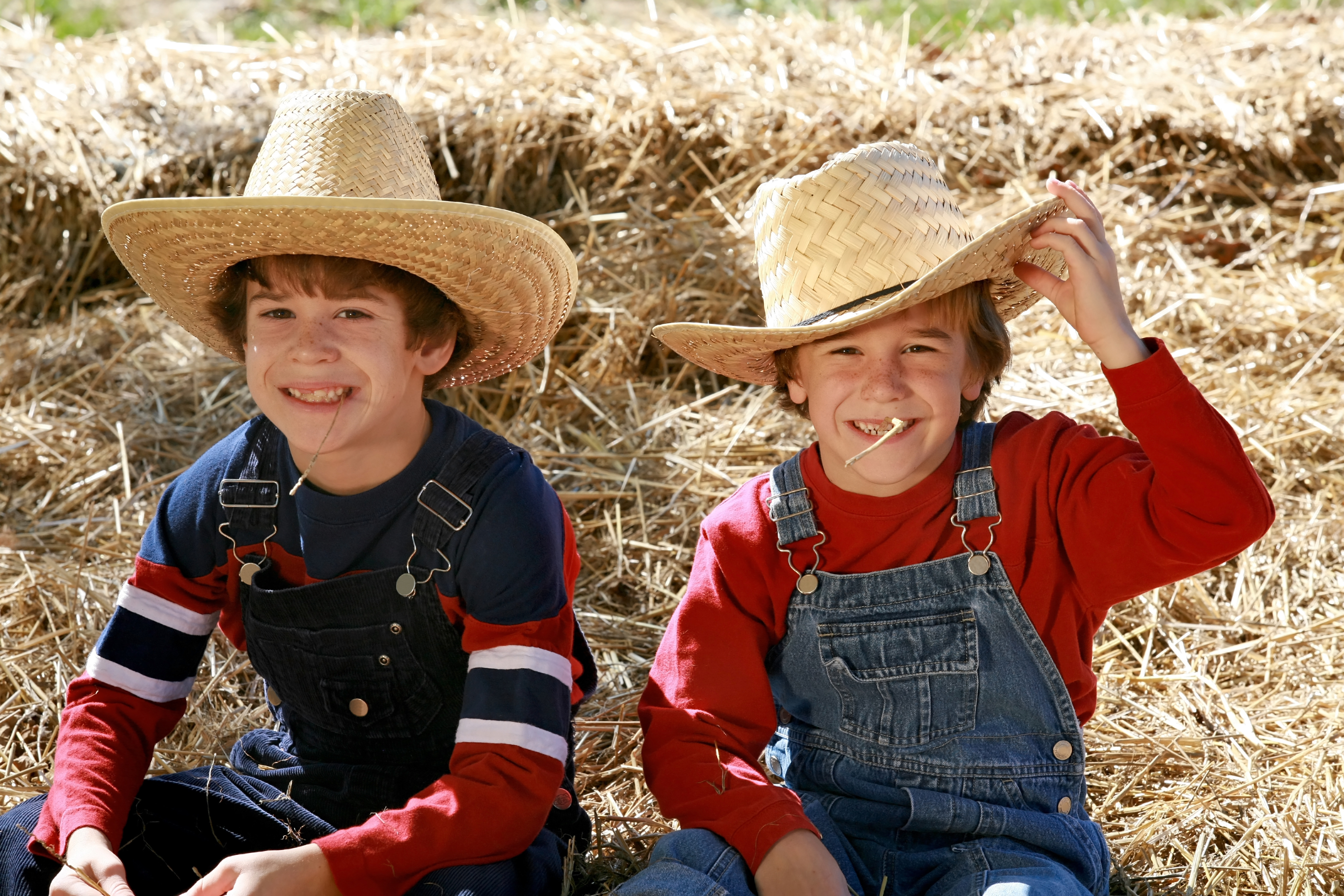 Children's farmer fancy on sale dress