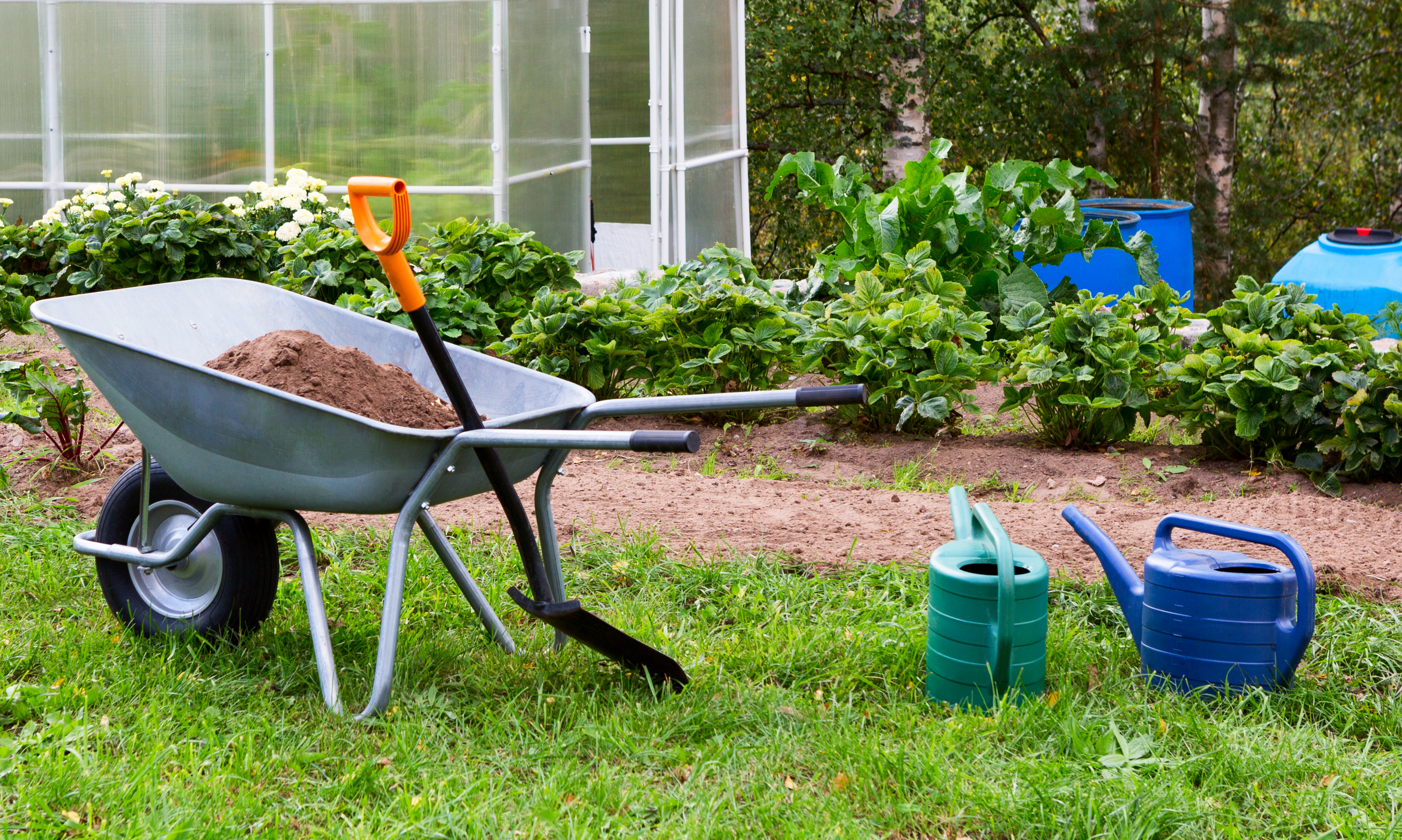 Wheelbarrow deals in garden