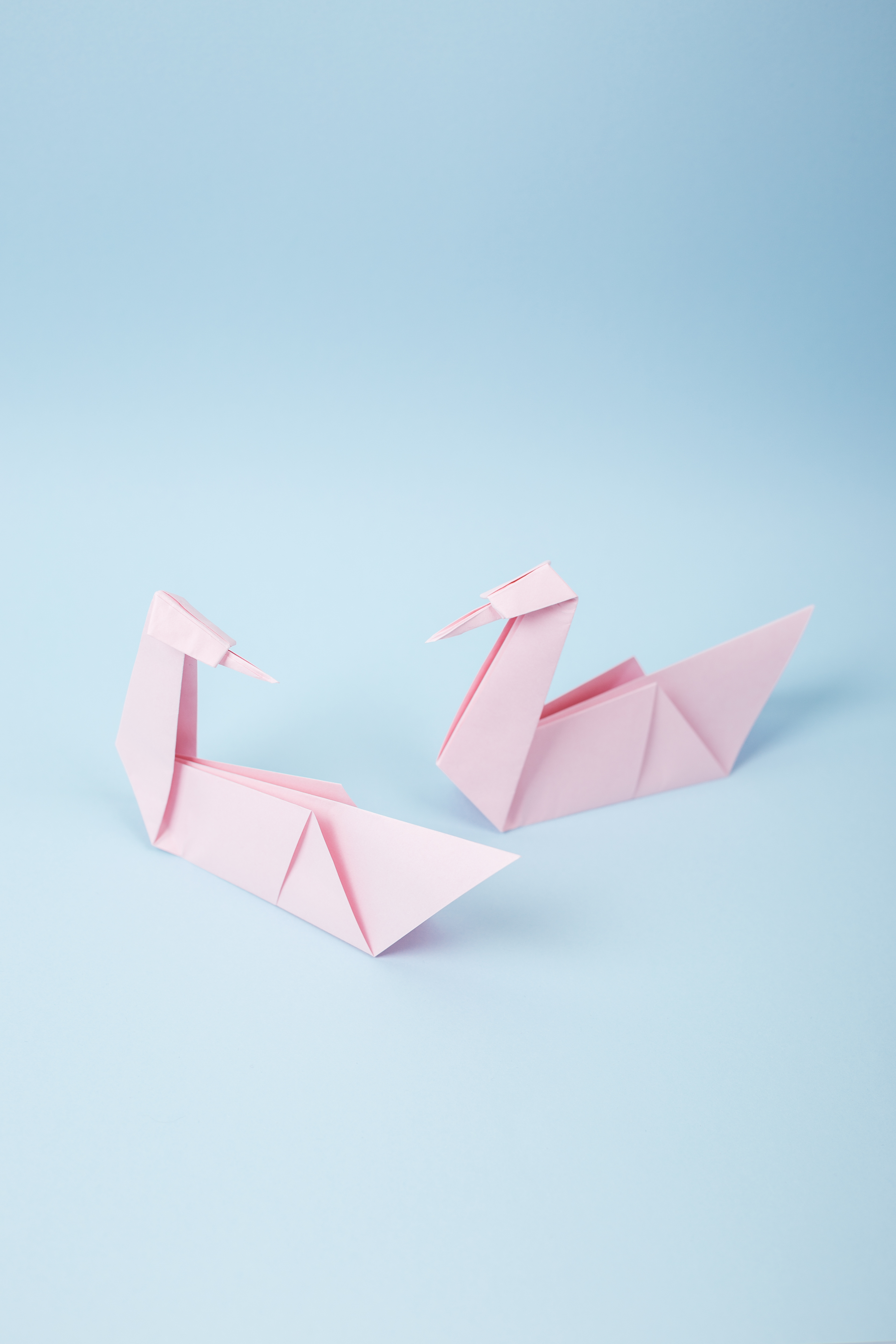 Origami Swan Basics for Paper-Folding Beginners