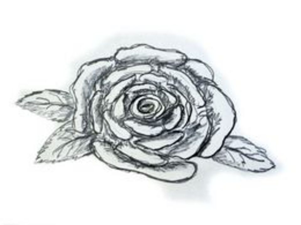 How To Draw A Rose Easily | Ehow