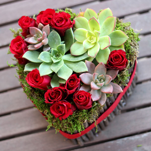 B42D5351-8A60-4985-8EFF-033FFFB1E4F5.jpg