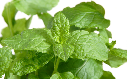 Mint Lassi - Smell the Mint Leaves