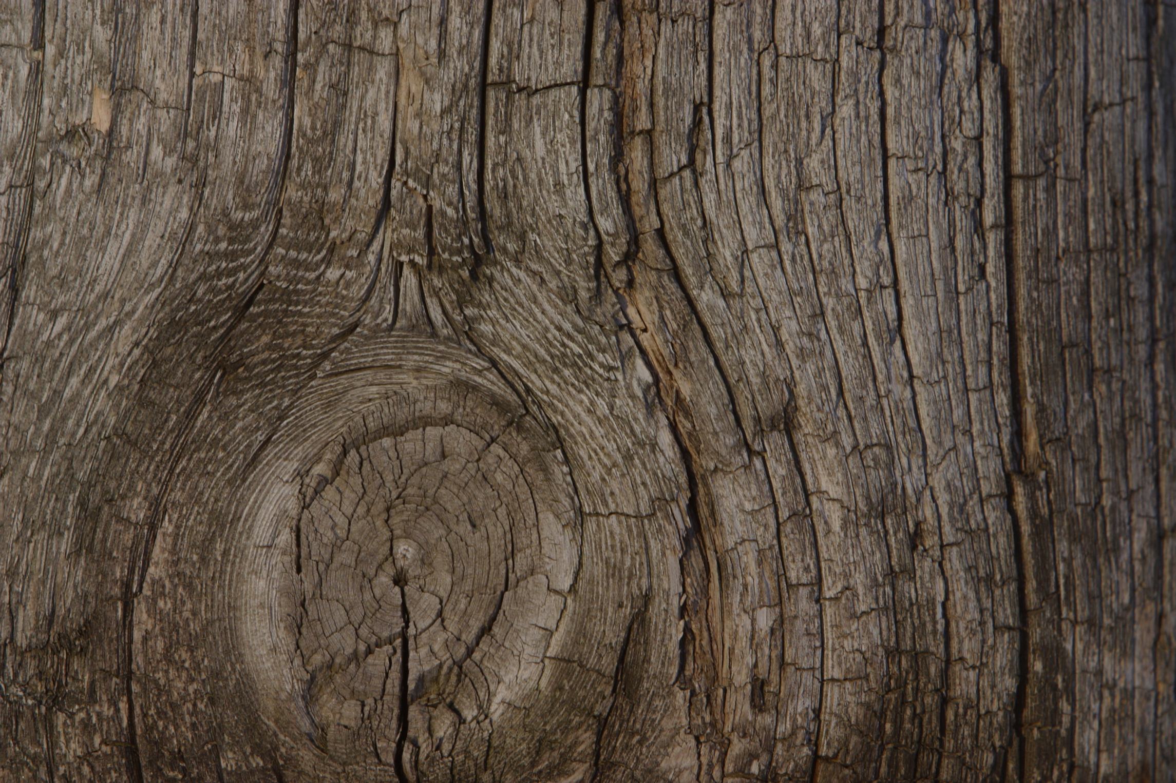 How to Gain a Wood Grain Look From Canvas
