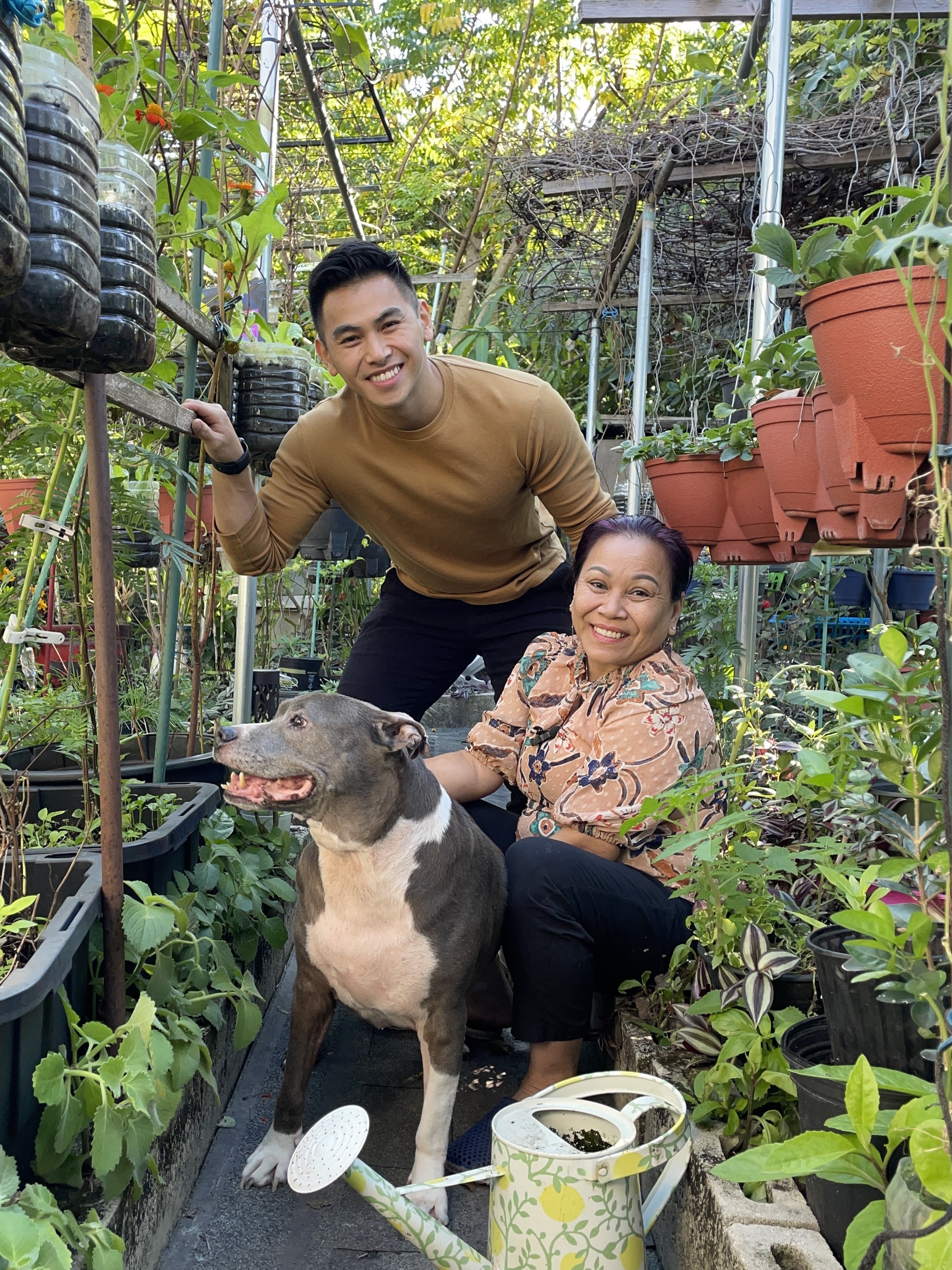 How to make Mama Judy's go-to soil mix with three ingredients