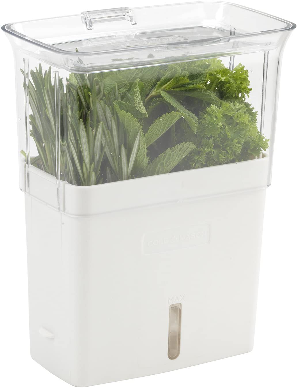 OXO GreenSaver Herb Keeper - Small – The Cook's Nook