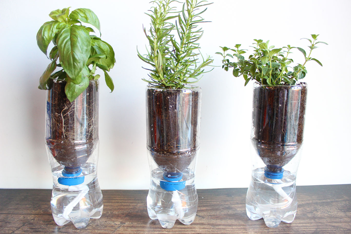 Build self watering planters (DIY)