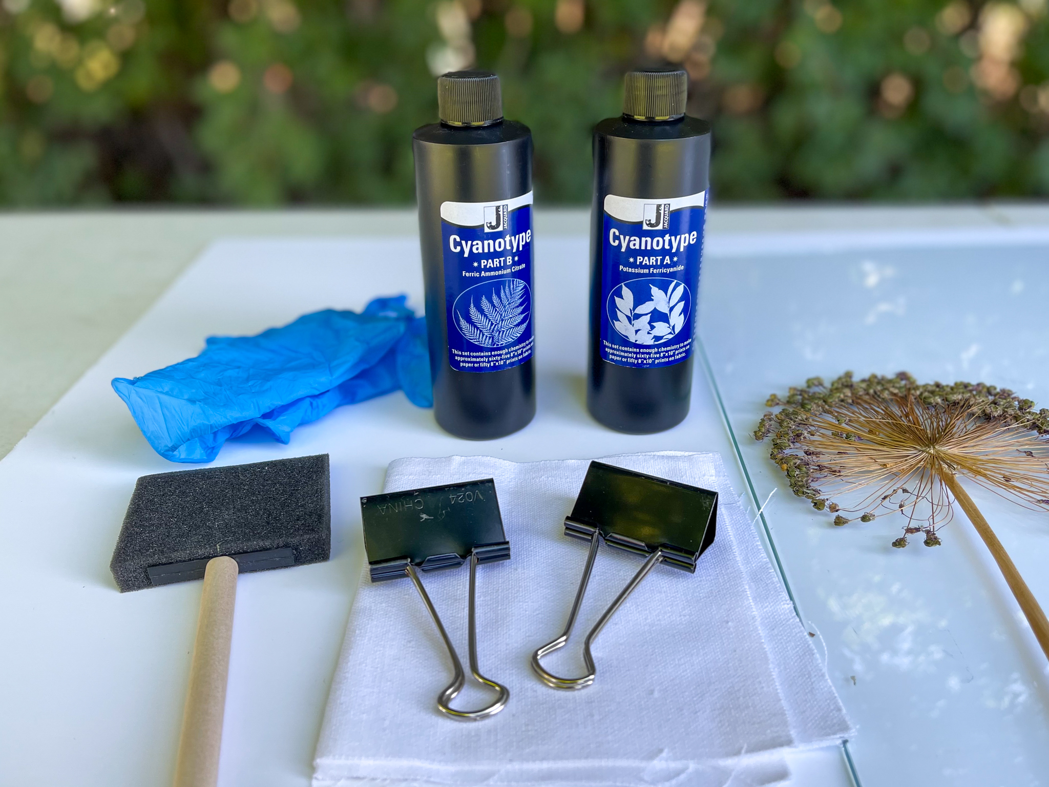 Cyanotype Set,Sun Printing Kit Ferricyanide Cyanotype Printing DIY