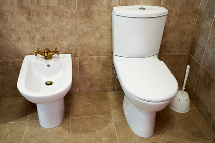 Why Does Well Water Turn Toilets Black?