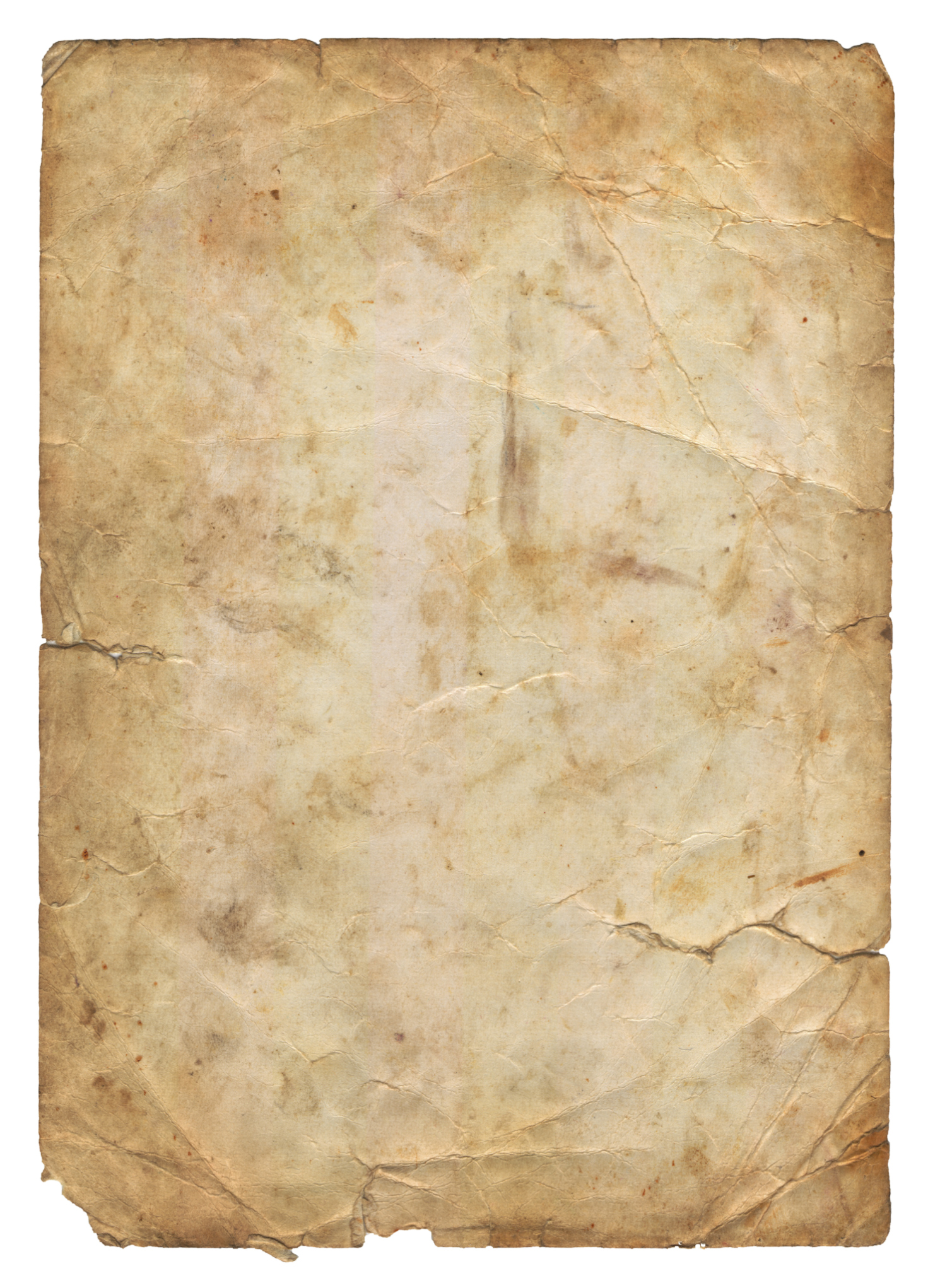 Cooking Newsprint Parchment Paper – Rustic Edge