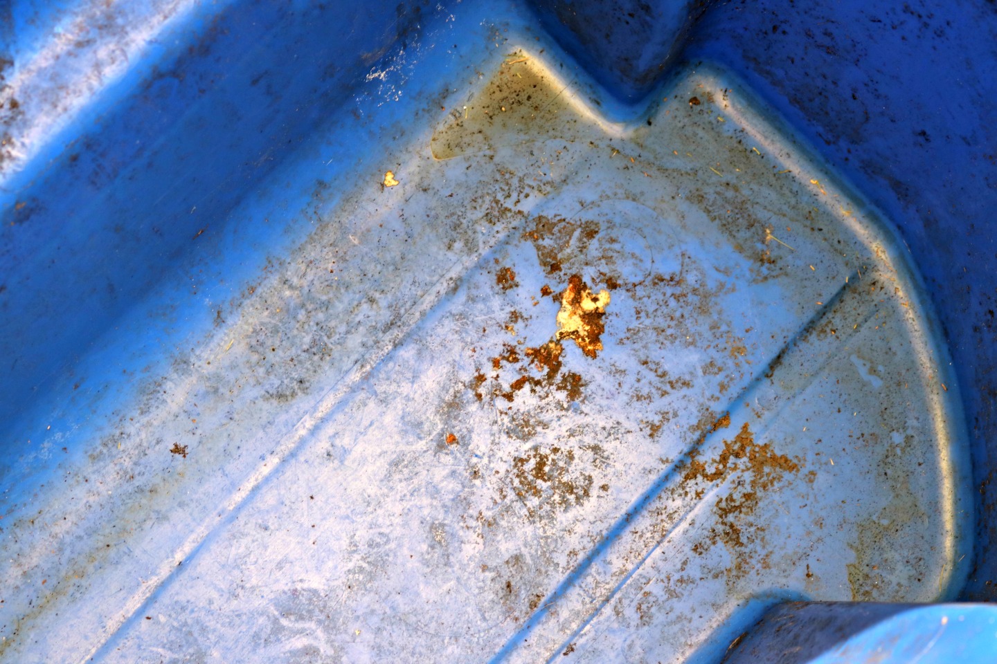 🗑️✨How to Clean Outdoor Garbage Cans and Keep Them Clean