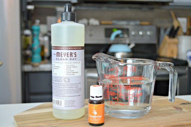 Homemade Oven Cleaning Spray Tutorial