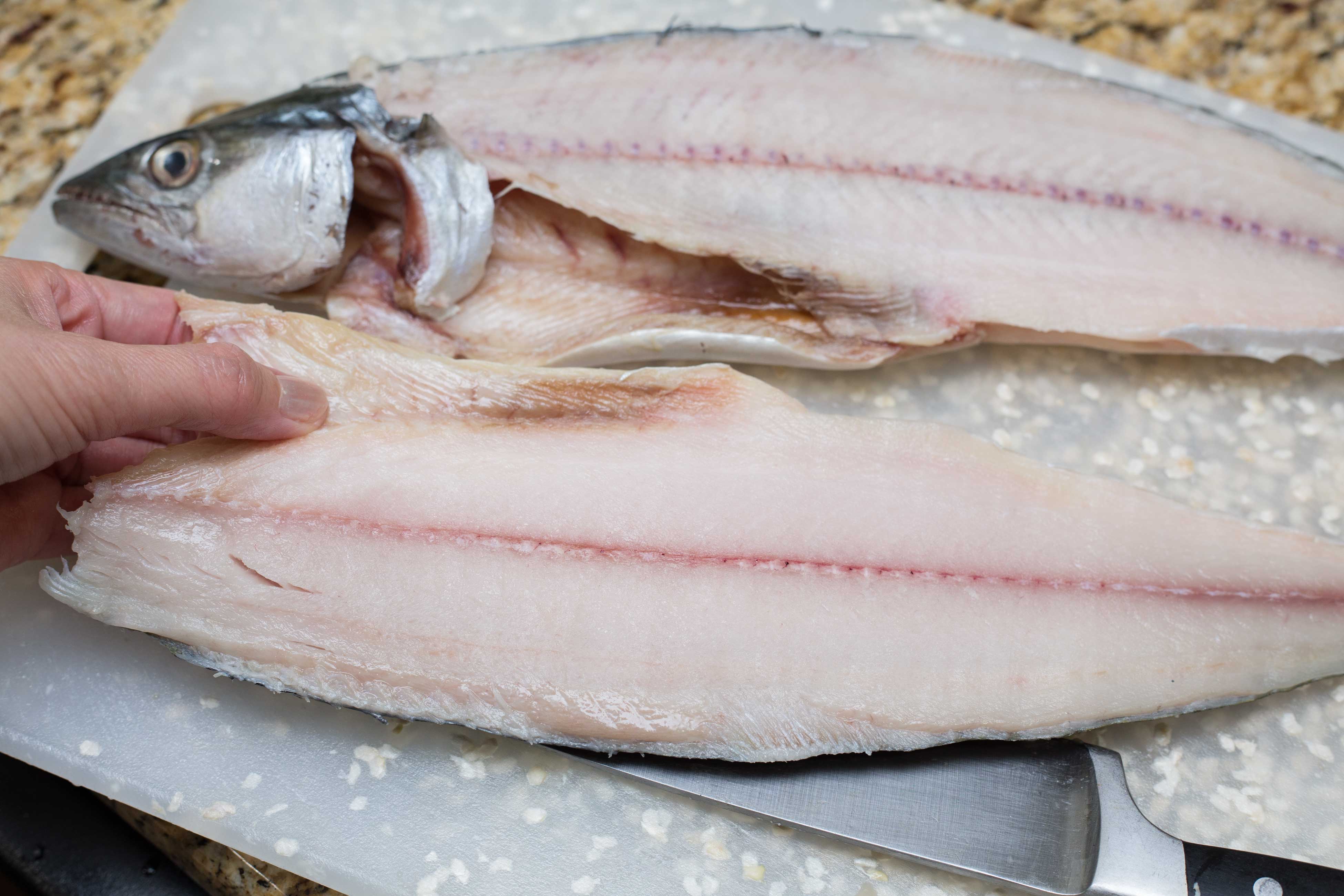 How To Fillet a Fish