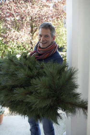 Man carrying fir tree into house, smiling, portrait