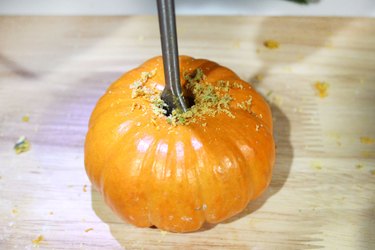 mini pumpkin