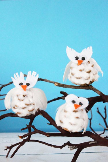 pinecone snowy owls