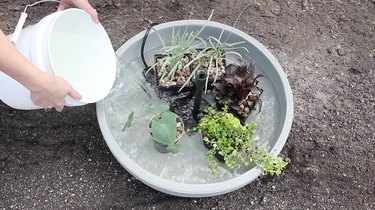 Verter agua en contenedores