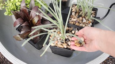 Filling plant pots with pebbles