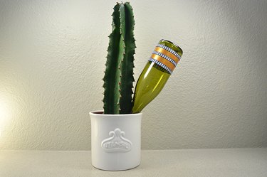 An image of the plant waterer wine bottle.