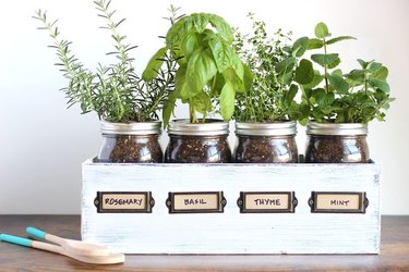 mason jar herb garden