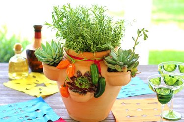 strawberry pot mini garden