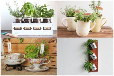 indoor garden ideas