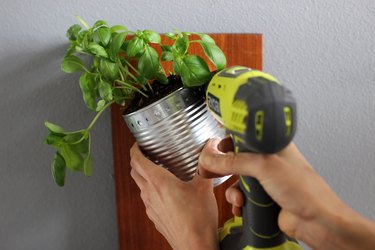 Screwing in steel strip to piece of wood with herb can