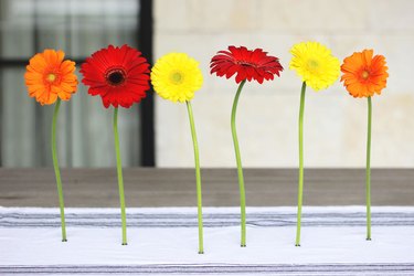 magnetic flowers