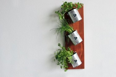 DIY indoor herb garden