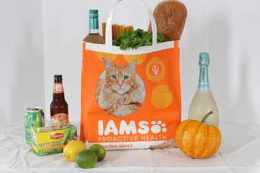 Grocery bag made from pet food bag