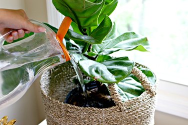 guide to recycling and reusing plastic items