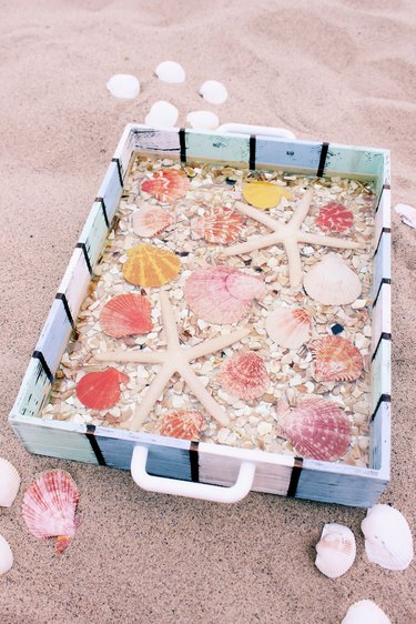 seashell tray