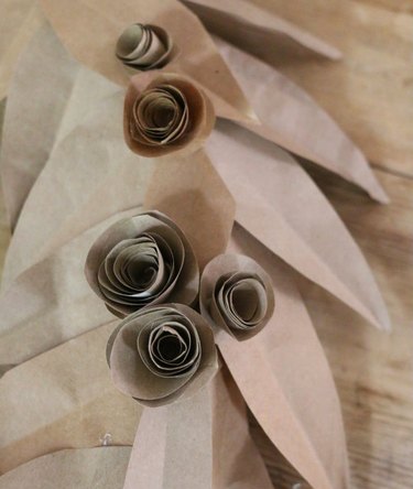 Rosettes and leaves