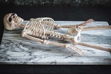 Skeleton placed on large platter