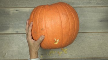 Using Forstner drill bit to cut a hole into a pumpkin to make DIY Pumpkin Keg