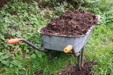 Compost in Garden Wheelbarrow