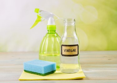 Vinegar in spray bottle with sponge